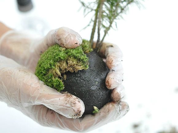 1099_6.jpg?v=1700488645&width=1946