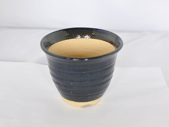 生子【5号】【山野草鉢】【信楽焼】