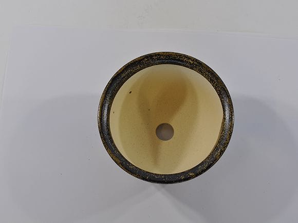 金そばおわん型【5号】【山野草鉢】【信楽焼】
