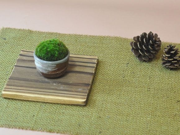 苔丸　おちょこ苔盆栽