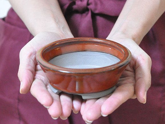 【瀬戸焼】4号鉢 茶丸