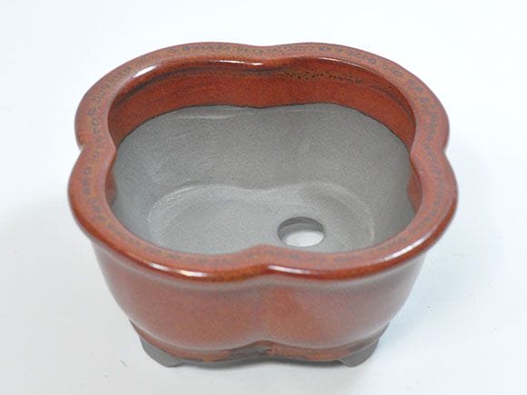 瀬戸焼】4号鉢 花型赤茶｜園芸鉢通販の盆栽妙 – 盆栽妙 本店