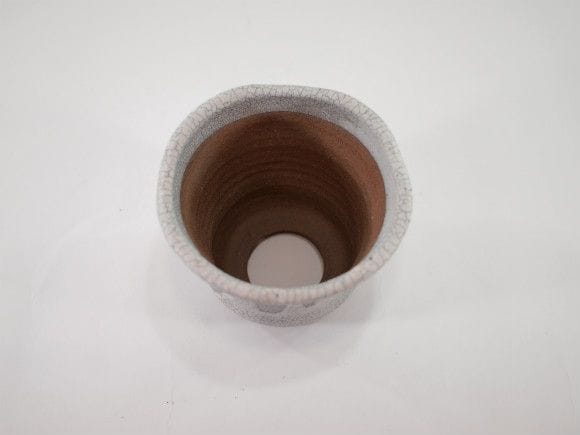 【信楽焼】【植木鉢】白マットウチョウラン鉢 3.5号鉢