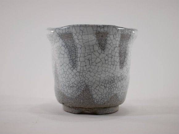 植木鉢】【陶器鉢】 白マットウチョウラン鉢 3号鉢を販売｜盆栽妙