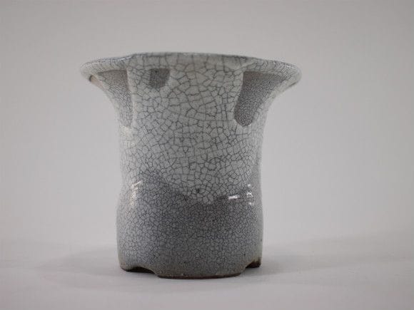 【信楽焼】【植木鉢】白マットセッコク鉢 3号鉢