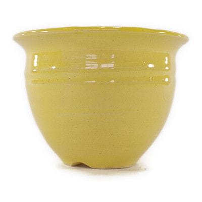 【信楽焼】【植木鉢】黄丸　4号鉢