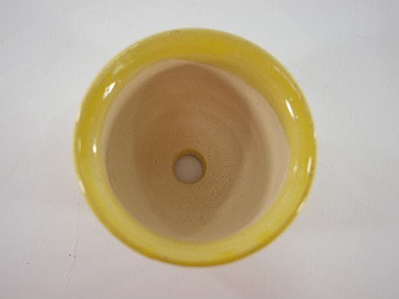 植木鉢】【陶器鉢】 黄丸を販売｜盆栽妙 – 盆栽妙 本店