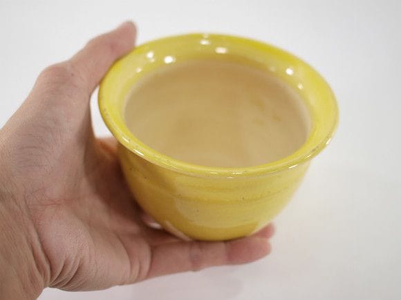 植木鉢】【陶器鉢】 黄丸を販売｜盆栽妙 – 盆栽妙 本店