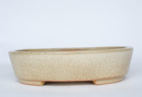 一点物 盆栽鉢】 鴻陽 No.183｜盆栽妙 – 盆栽妙 本店