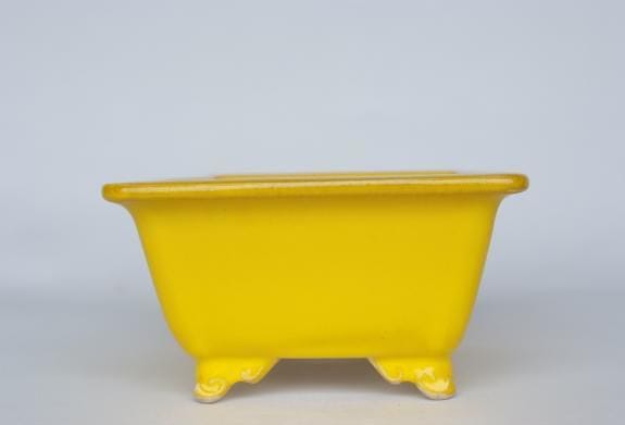 一点物 盆栽鉢】 美功 No.211｜盆栽妙 – 盆栽妙 本店