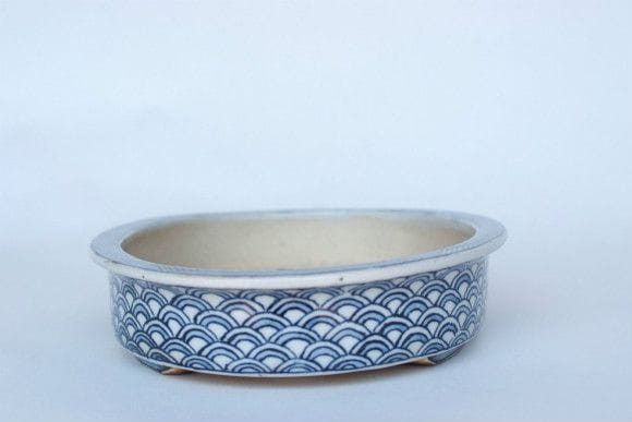 一点物 盆栽鉢】 越前芳水 No.221｜盆栽妙 – 盆栽妙 本店