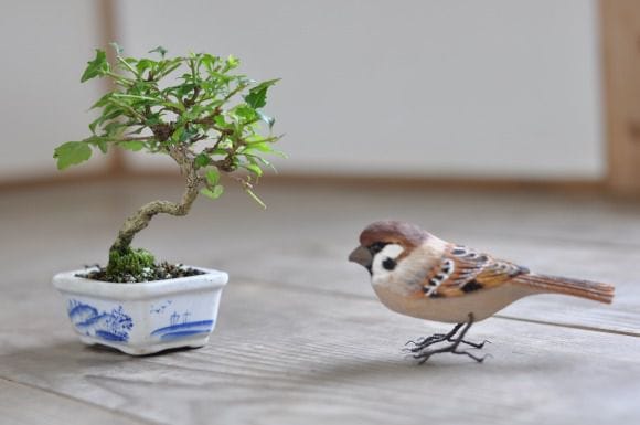 におい楓　1点もの No.153