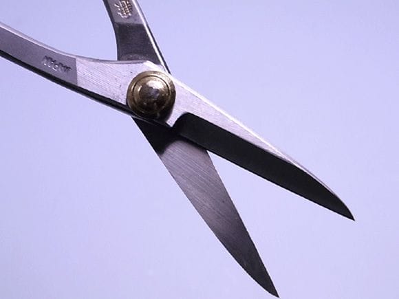 ステンレスさつき鋏 大　全長180mm　NO.827