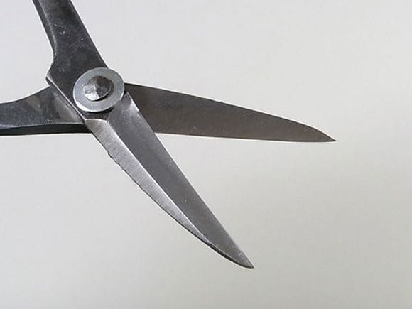 小枝切(芽摘み)鋏　左利き用　全長　170mm No.601BL