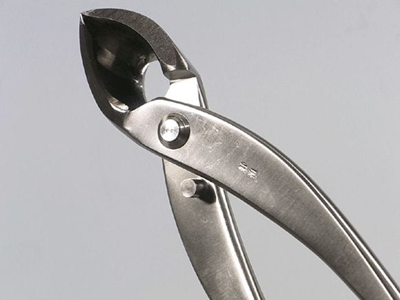ステンレス 又枝切 特大　全長270mm　NO.805