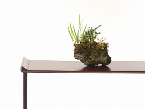 石つき　ひめあやめの寄せ植え　1点もの No.18
