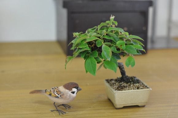 カリン　1点もの No.200