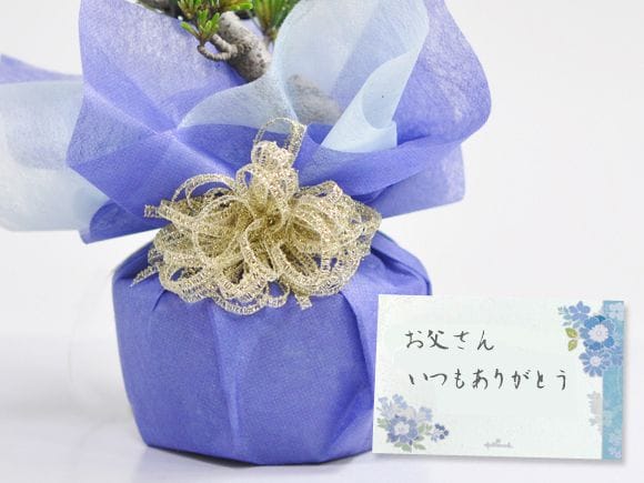 盆栽とお菓子のセット　ミニ五葉松とプリン詰め合わせ