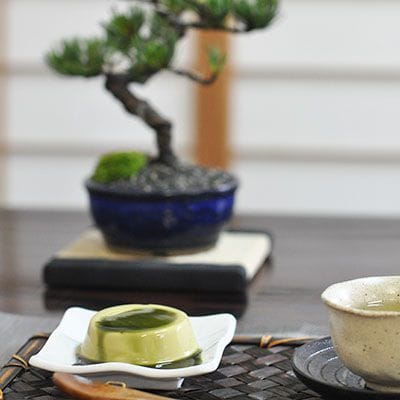 贈る盆栽とお菓子のセット　五葉松と抹茶プリン