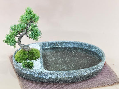 和の庭 池泉庭園(ちせんていえん)