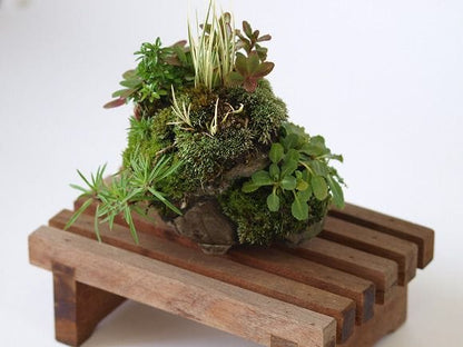 寄せ植え　1点もの No.21