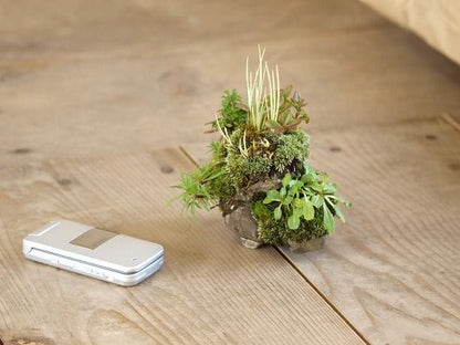 寄せ植え　1点もの No.21