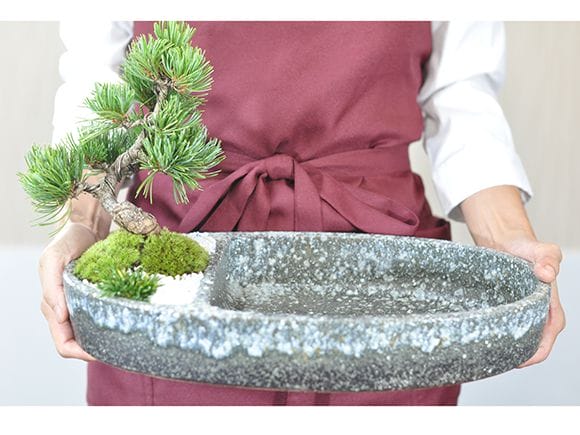 ミニビオトープ 鉢 水盤 白雪小判 13号 幅39cm×高7cmを販売｜盆栽妙