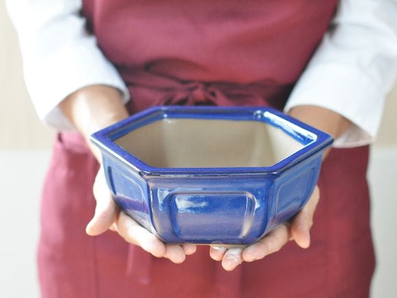 萬古焼】【盆栽鉢】六角 6号を販売｜盆栽妙 – 盆栽妙 本店