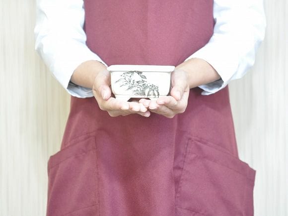 瀬戸焼【盆栽鉢】磁器 山水画 隅入り 3.5号