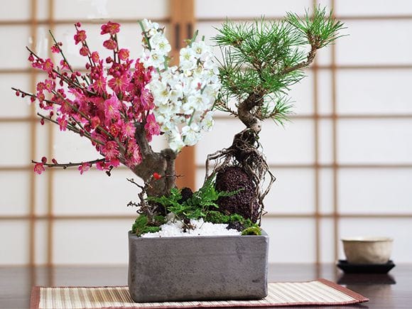 いぶし正角【6号】【山野草鉢】【信楽焼】