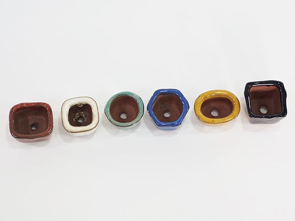 豆鉢6点セット
