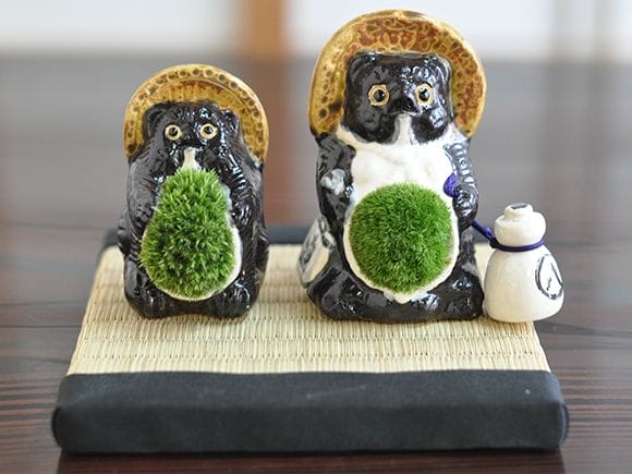 中型 直幹盆栽 苔土 中型 直幹盆栽 苔土 - メルカリ
