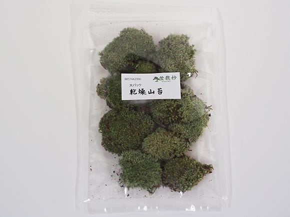 乾燥山苔　大