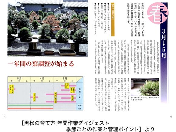 【書籍】盆栽 黒松の育て方本 ブック 近代出版