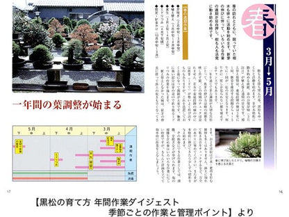 【書籍】盆栽 黒松の育て方本 ブック 近代出版