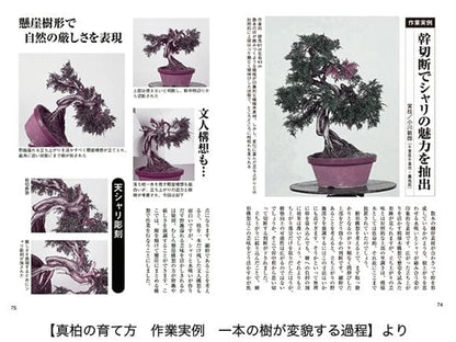 【書籍】盆栽 真柏・杜松の育て方本 ブック 近代出版
