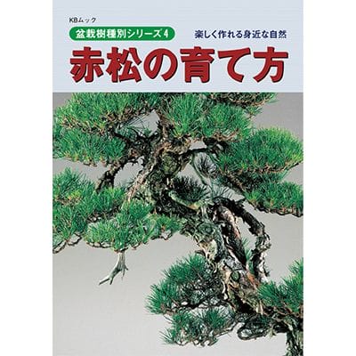 【書籍】盆栽 赤松の育て方本 ブック 近代出版