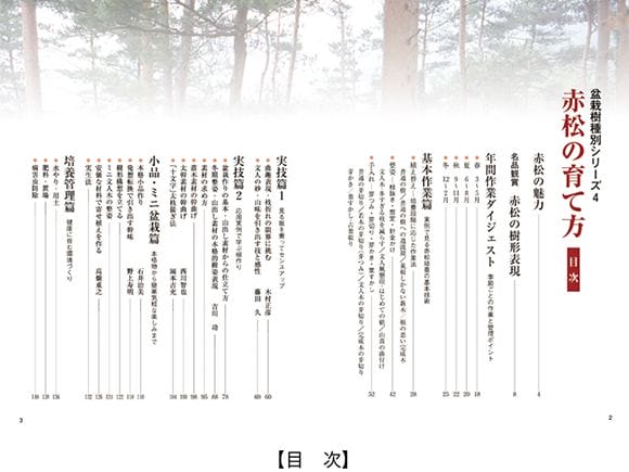 【書籍】盆栽 赤松の育て方本 ブック 近代出版