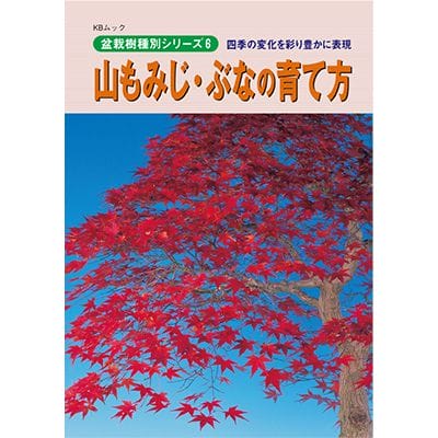 【書籍】盆栽 山もみじ・ぶなの育て方本 ブック 近代出版