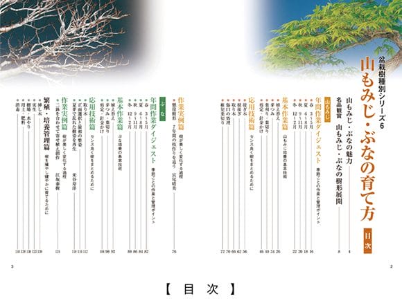【書籍】盆栽 山もみじ・ぶなの育て方本 ブック 近代出版