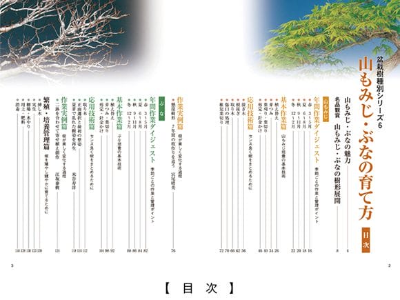 【書籍】盆栽 山もみじ・ぶなの育て方本 ブック 近代出版