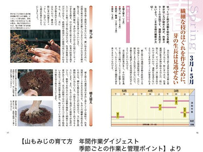 【書籍】盆栽 山もみじ・ぶなの育て方本 ブック 近代出版