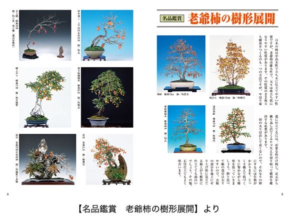 書籍】盆栽 老爺柿・きんずの育て方本 ブック 近代出版｜盆栽妙 – 盆栽