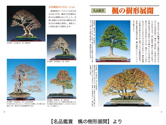 書籍】盆栽 楓・けやきの育て方本 ブック 近代出版｜盆栽妙 – 盆栽妙 本店