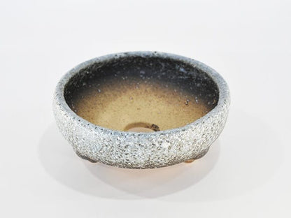 鉄鉢 白雪 【盆栽鉢】【6号】【信楽焼】幅18.5cm×高さ7.5cm