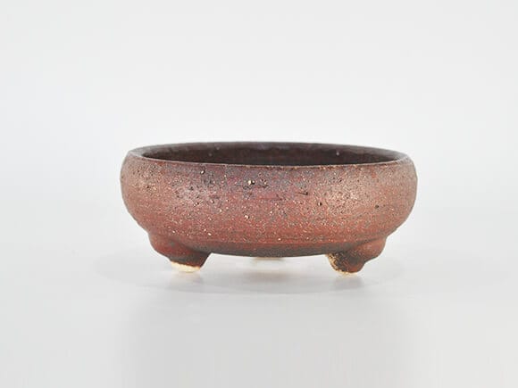 岩石 鉄鉢 茶【盆栽鉢】【6号】【信楽焼】