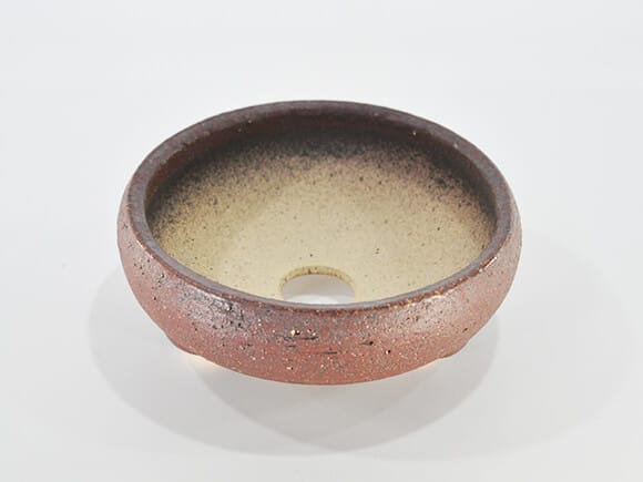 岩石 鉄鉢 茶【盆栽鉢】【6号】【信楽焼】