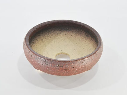 岩石 鉄鉢 茶【盆栽鉢】【6号】【信楽焼】