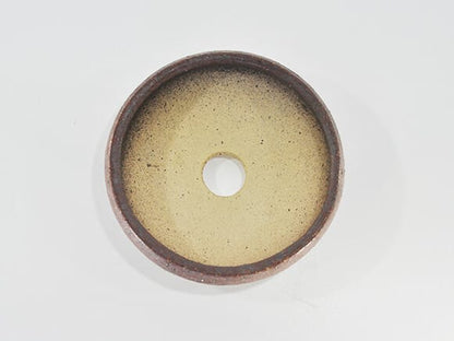 岩石 鉄鉢 茶【盆栽鉢】【6号】【信楽焼】
