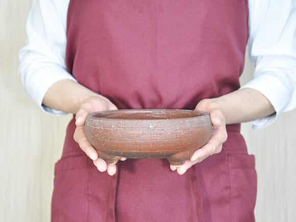 岩石 鉄鉢 茶【盆栽鉢】【6号】【信楽焼】